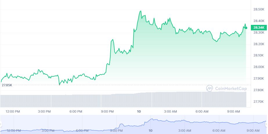 Дневной график BTC (Источник: CoinMarketCap)