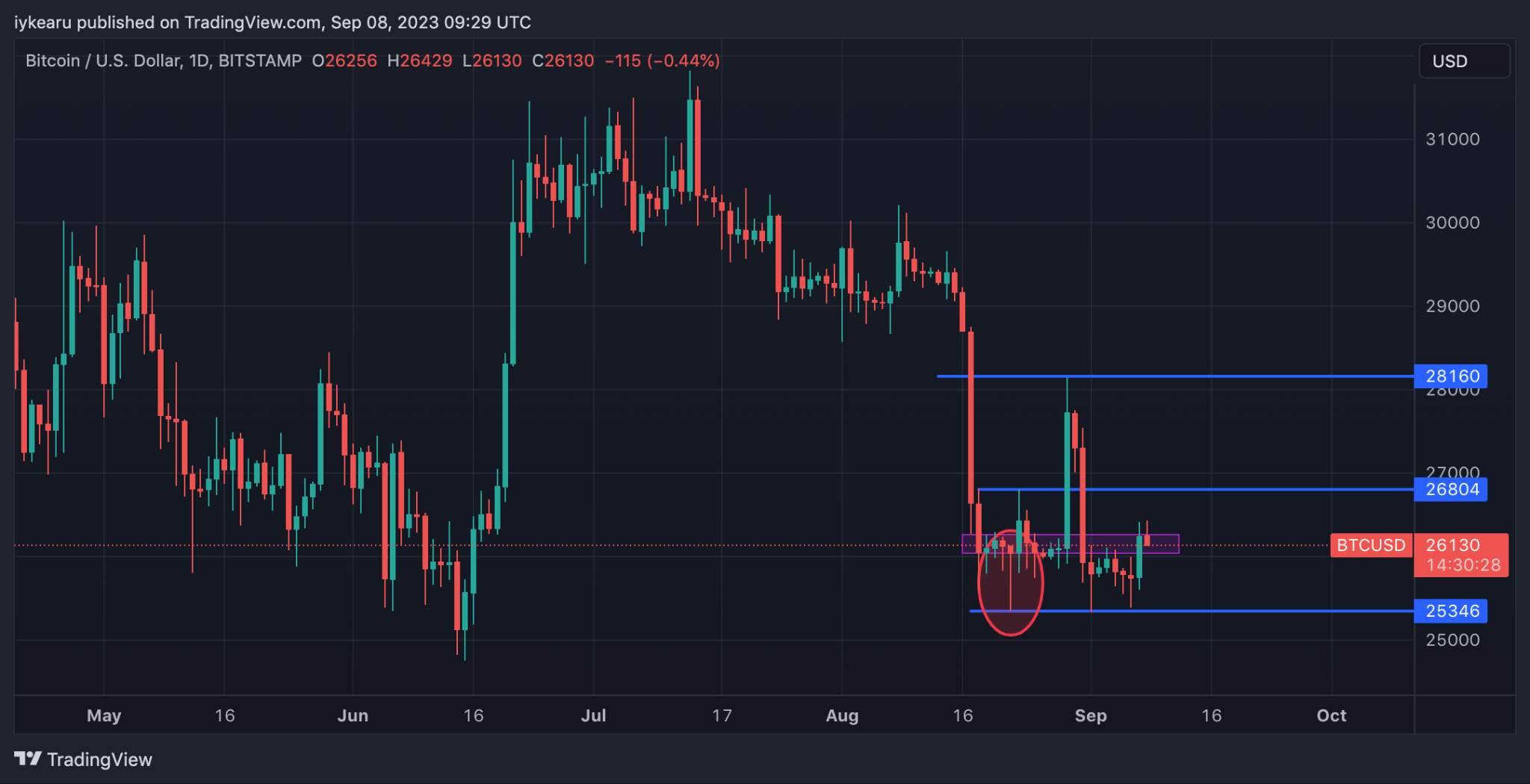 TradingView