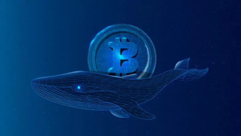 bitcoin whale