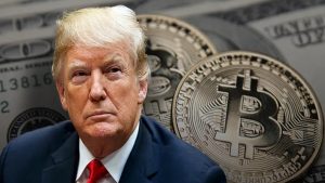 donald trump btc