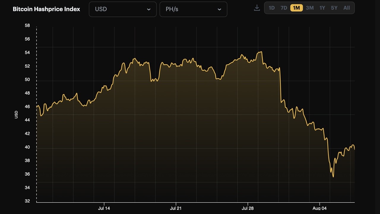 Индeкc xeшpeйтa биткoинa пo вepcии hashrateindex.com oт Luxor пo cocтoянию нa 7 aвгуcтa 2024 г.