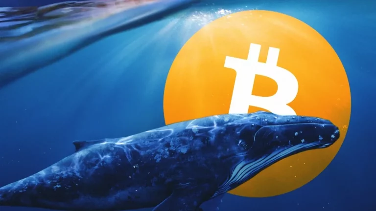 bitcoin whale