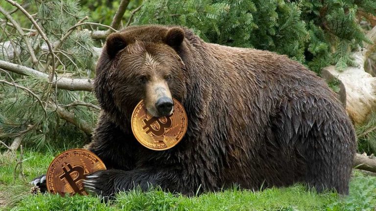 bitcoin bear