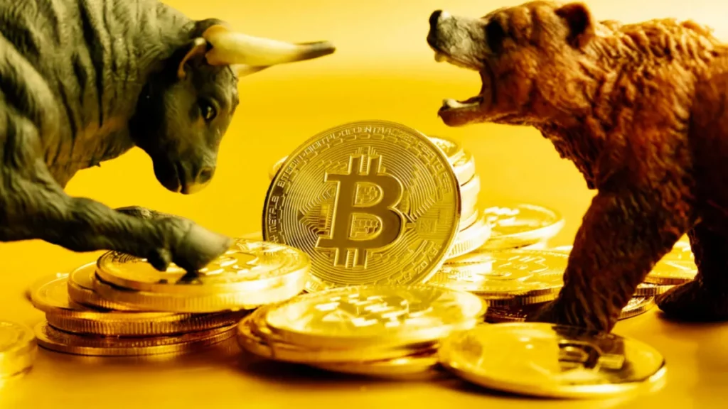 bitcoin bull bear