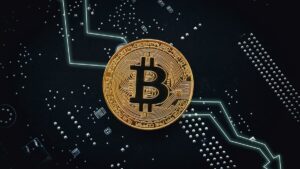 bitcoin network