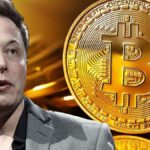 bitcoin Elon musk