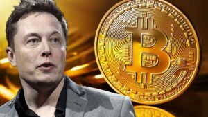bitcoin Elon musk