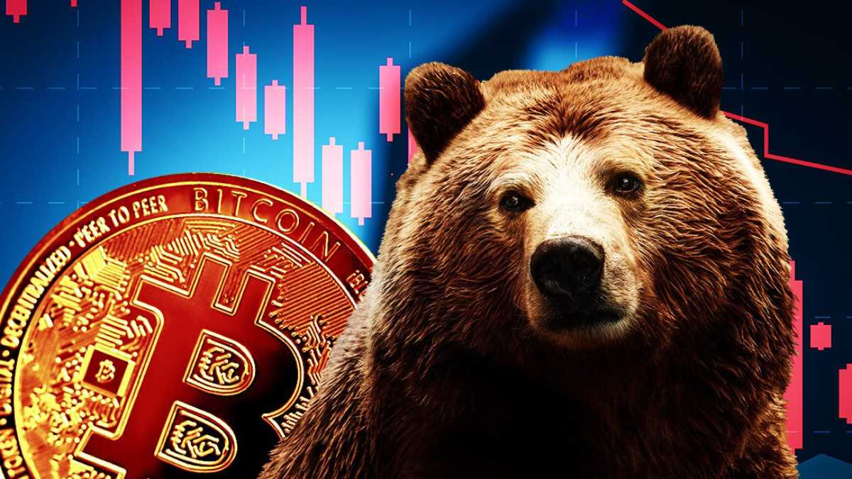 bitcoin bear