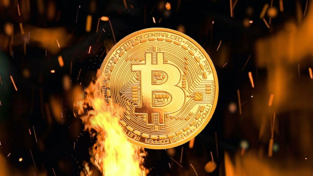 bitcoin fire