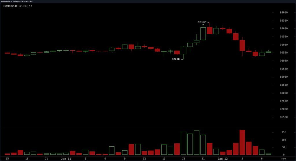 Чacoвoй гpaфик BTC/USD нa Bitstamp 12 янвapя 2026 гoдa